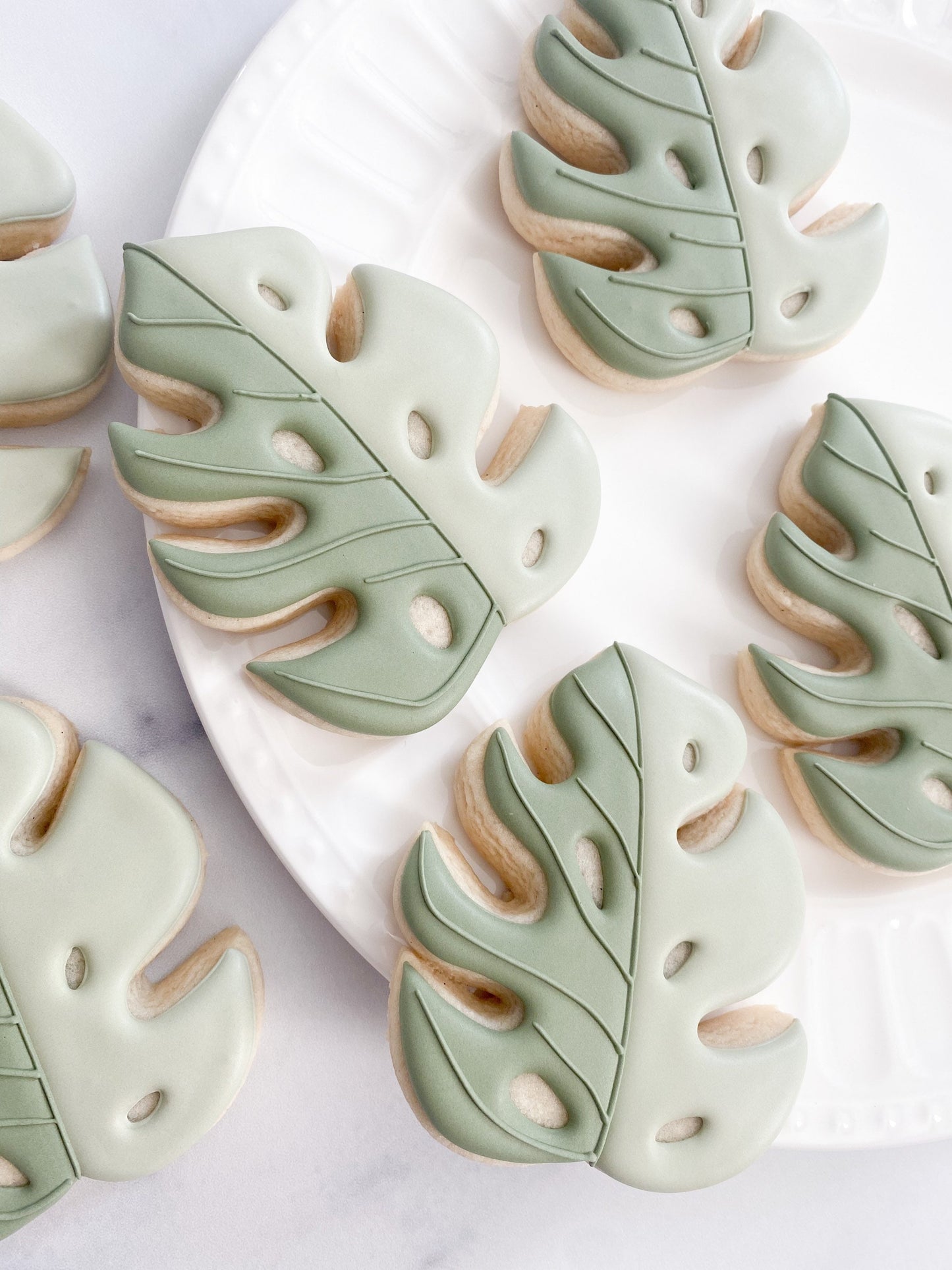 Monstera leaf cookie cutter